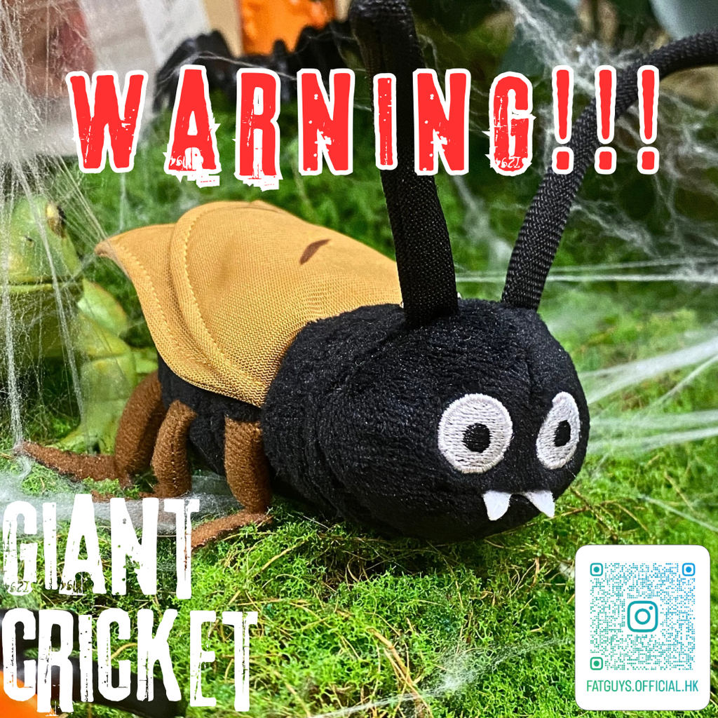 Now Open 副本 - 1.webp