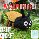 Now Open 副本 - 1.webp