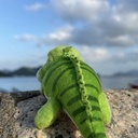 ﻿FATGUYS | Green Iguana Doll | Reptiles﻿ 