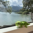 ﻿FATGUYS | Green Iguana Doll | Reptiles﻿ 