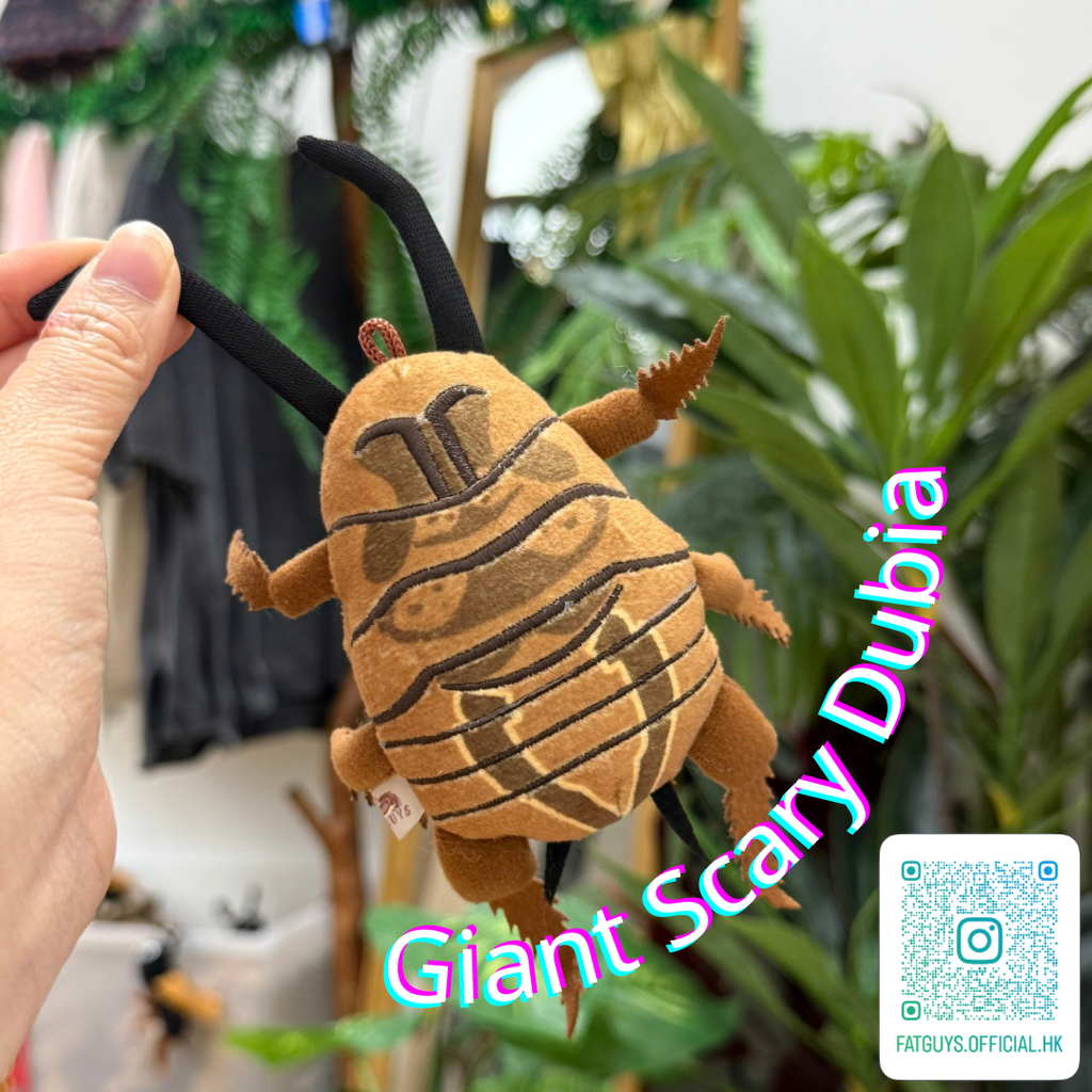 未命名的設計 的副本 - 2.webp