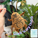 未命名的設計 的副本 - 2.webp