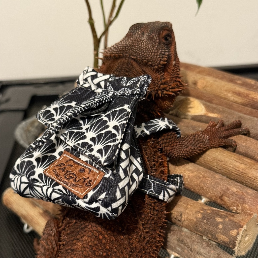 FATGUYS | Japan Style Lizards Using Bag | Reptile