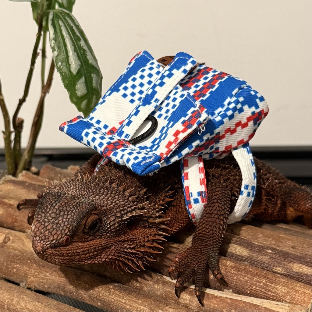 FATGUYS | HK Style Lizards Using Bag | Reptile